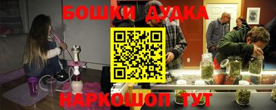 индика Обнинск