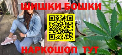 индика Обнинск