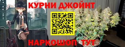 индика Обнинск