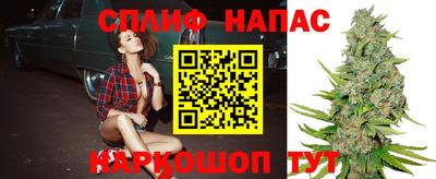 индика Обнинск