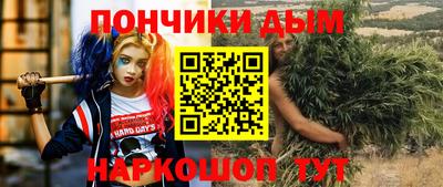 индика Обнинск