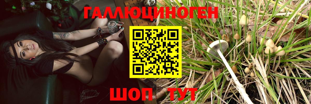 Ялта  Галлюциногенные грибы Psilocybine cubensis  Вход с VPN  Галлюциногенные грибы Psilocybine cubensis 