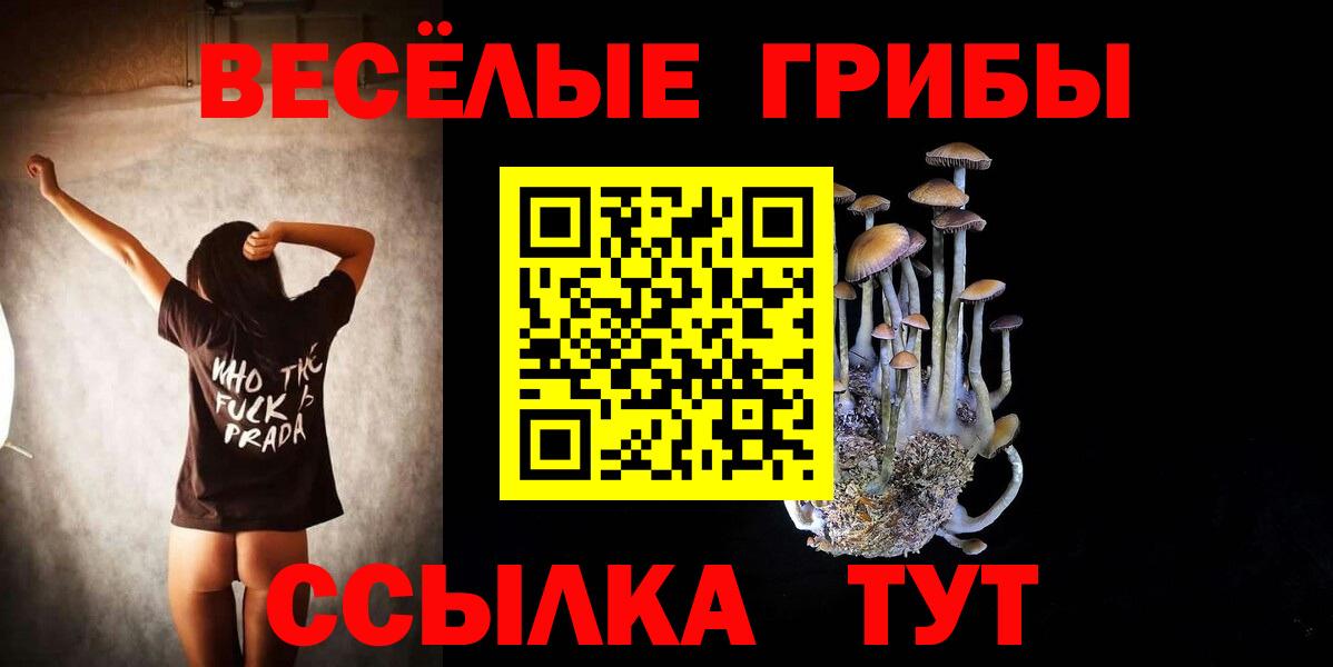 Галлюциногенные грибы прущие грибы Ялта